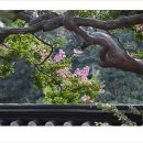 향교 이미지