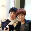 도그맘애견 이미지
