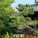 [너른마당] (내돈내산) 고양 덕양&amp;서삼릉 맛집(넓은 정원과 몸보양식)