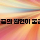 뒷골 이미지