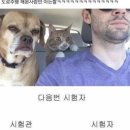 없음 네이버블로그