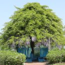 강나루생태공원 이미지