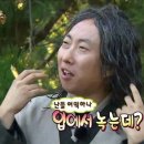 (유)초지 이미지