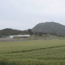 일오삼민박 이미지