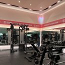 스파렉스 이미지