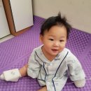 심재성 이미지
