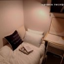 스테이화이트