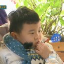 홍홍사과