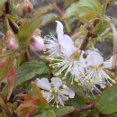 구암동516 이미지