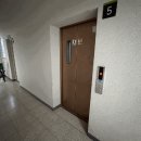 데시앙포레 이미지