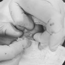 다움성형외과의원 이미지