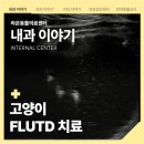 송악 동물병원 이미지