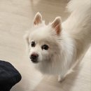 오류동물병원 이미지