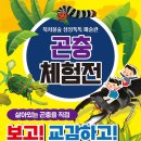 꿈의미술관 이미지