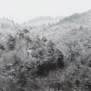 산과바다 이미지