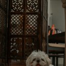 계양메디칼센터 이미지