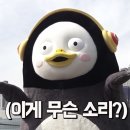 제성 이미지