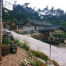 순천만숲