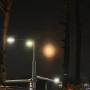 에스드림의원 | 임신 6~7주차/심장소리/마리본산부인과/시댁임밍아웃