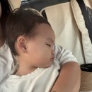 아카라스포츠 | [치앙마이 한달살기🇹🇭] DAY10. 올드타운 코스메틱, The Chef 푸팟퐁커리, 반캉왓 예술가의 마을