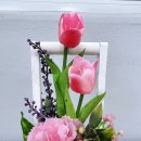 원예생활지도사 이미지