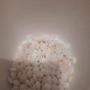 세정축산 이미지