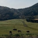 명랑목장 이미지