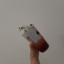 안산 고잔동 소품샵 카페 포포니커피앤샵 공간 대여 방법 및 후기