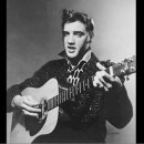 딕시랜드(dixieland) 이미지