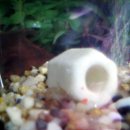 준혁이네집 이미지