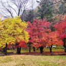 비선대만남의광장 이미지