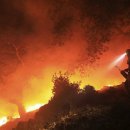 장모사랑 이미지