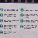 용산교 티스토리
