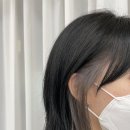 디자인 이룸(E.Room)
