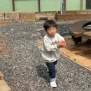 카페70도씨 | 팔공산 칠곡동명카페 카페70도씨, 아이랑 쿠키만들기 체험 대만족후기