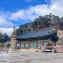 월정사관광안내소 | 평창 오대산 월정사 전나무숲길 사찰 여행지