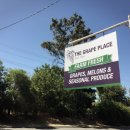 Grape House