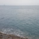 감생이민박 이미지