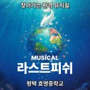 효명중학교 | 기후위기와 환경교육을 노래하다｜뮤지컬 라스트피쉬 효명중학교 찾아가는 공연
