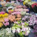 예쁜이 | 엄궁 꽃시장 주말 방문기, 꽃다발부터 로즈마리까지 직접 데려온 힐링 쇼핑 후기