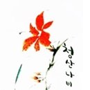 관동낚시 이미지