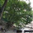 연화주유소 이미지