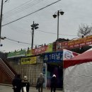 화천새싹길 | 화천 산천어축제 평일 눈치게임? 외국인 뚫고 5번 탄 썰 (주차/먹거리 꿀팁)