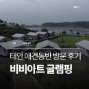 아트 | 태안 애견동반 글램핑 비비아트글램핑 호수뷰 객실 내돈내산 후기