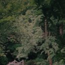 정스테이 이미지