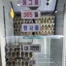 청주 송절동 맛집 에그플 24시 무인 계란판매 또또또간집 내 돈 내산 후기