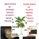 수기획 이미지