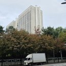 한강 프로젝트 이미지