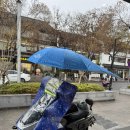 이화원약국 | [상해/3일차] 쑤저우 당일치기 맛집과 가볼만한 곳 - 상해기차역, 졸정원, 쑤저우타이타이 게살국수, 차...