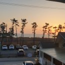 아그리나 D 이미지